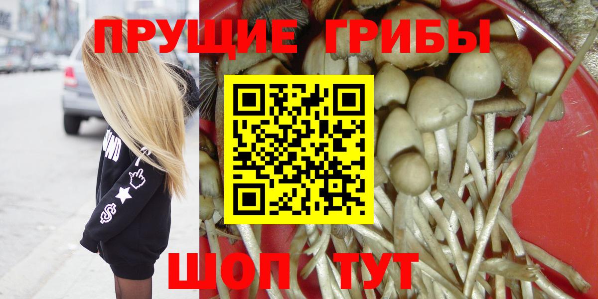 Псилоцибиновые грибы мухоморы  Вход с VPN  Псилоцибиновые грибы MAGIC MUSHROOMS  Строитель 